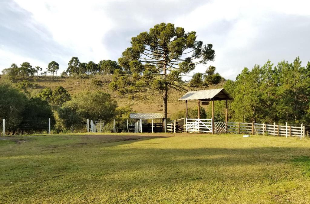 Urupema House | Casa de Campo Passo do Tatu