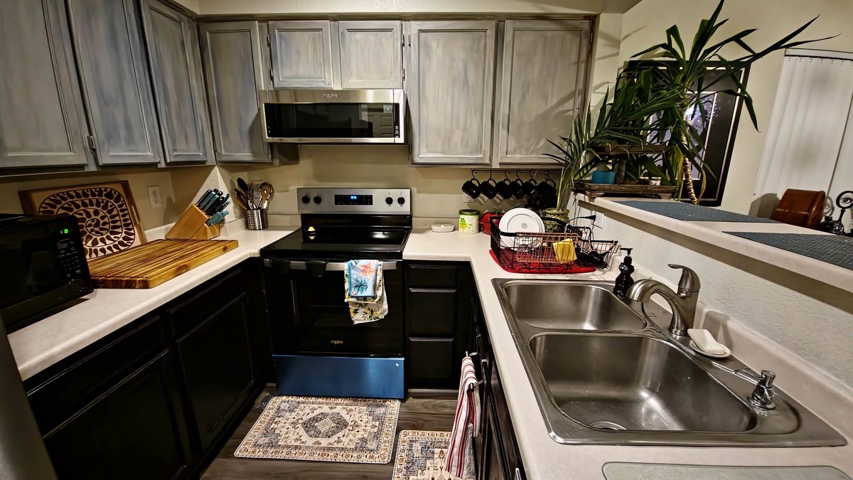 Westminster House | Casa de gato