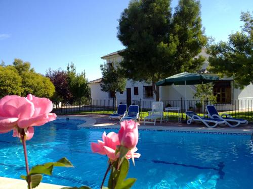 Priego de Cordoba Villa | Casa de la Higuera