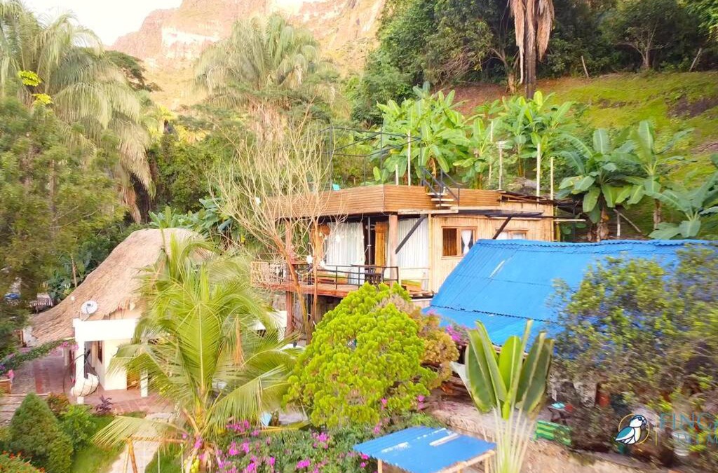 Purificacion House | Casa de las Guacamayas