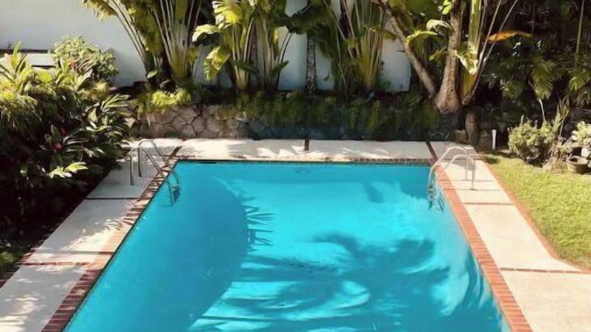 Pueblo Viejo House | ⭐️Casa De Las Palmas 🌴