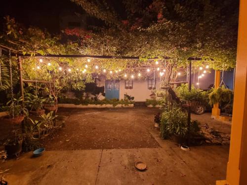 La Dorada House | Casa de Luna