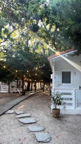 Neptun Hotel | Casa de Mare Cottages