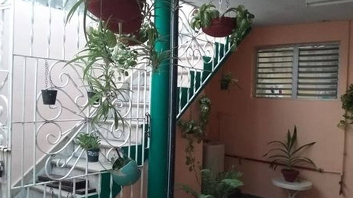 Granma House | Casa de Mary & Pastor