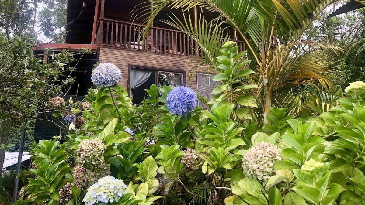 San Gerardo de Dota House | Casa de Nubes (The Cloud House)