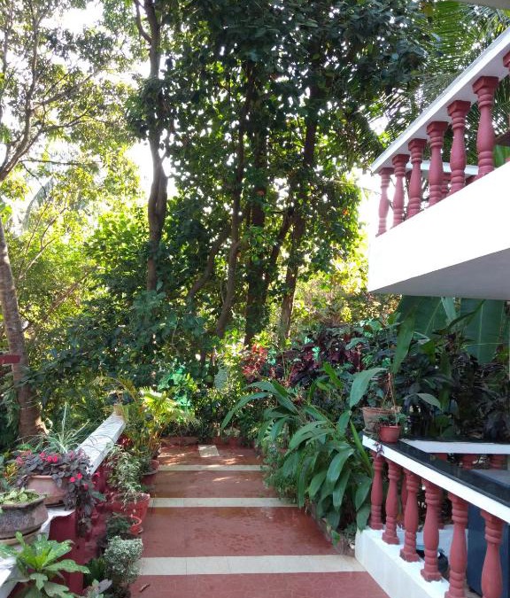 Chapora House | Casa De Olga