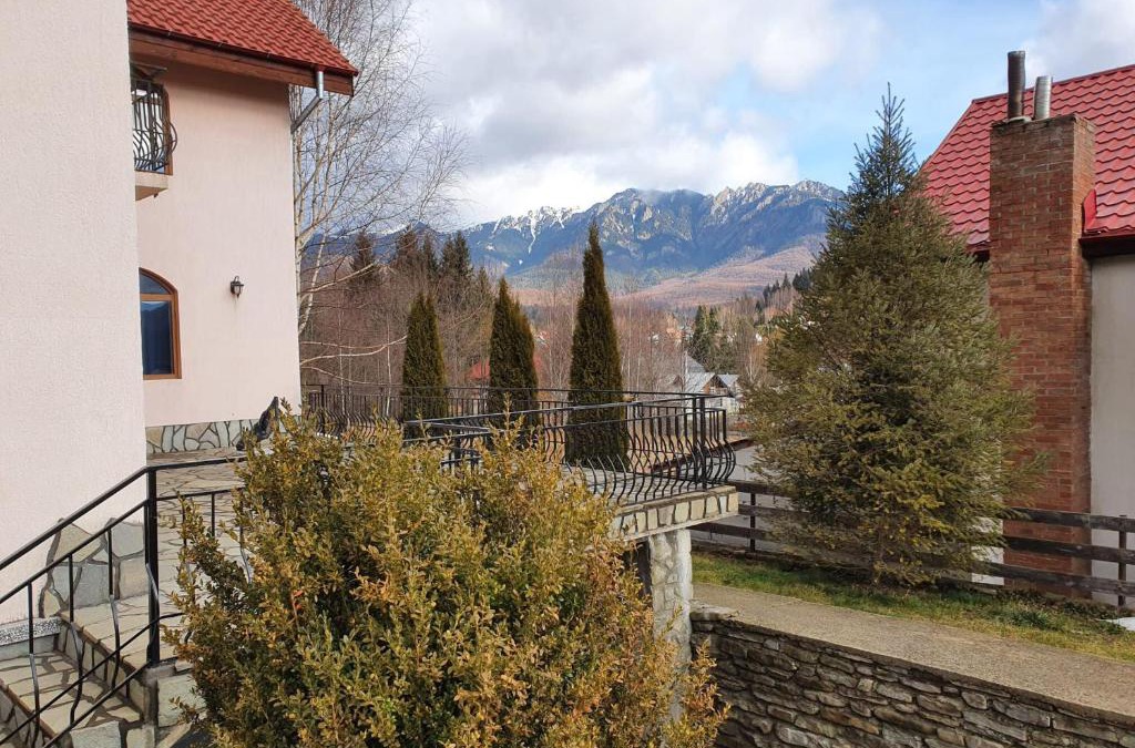 Cheia House | Casa de Vacanta Mountain View
