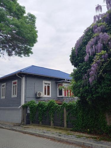 Sulina House | Casa de Vacanta Rodica