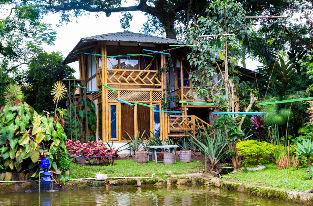 Chinauta Hotel | CASA DEL ÁRBOL, Romántico, Piscina, en Chinauta, el mejor clima