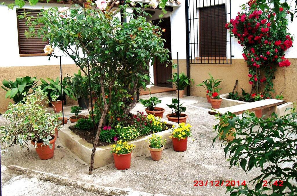 Majada Carrasca House | Casa del Abuelo 1