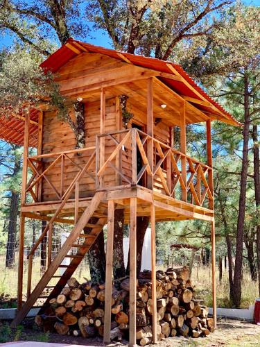 Durango Ski Chalet | CASA DEL ARBOL en la Sierra de Durango