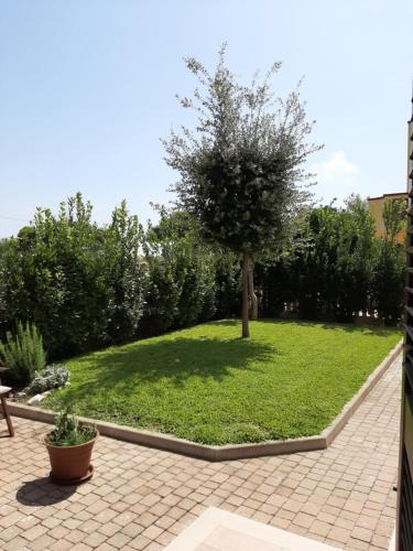 Monti D'arena-Bosco Caggione Apartment | Casa del Leccio