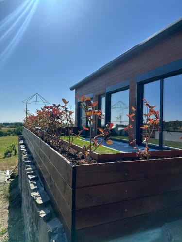Sinteu House | Casa Deluxe in Sinteu - intersectia intre modern si linistea naturii