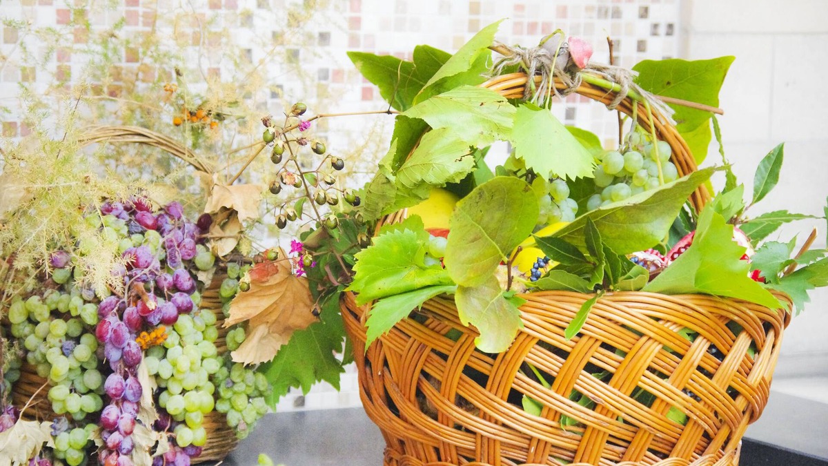 Laconi House | Casa di Agostino/week and/Holidays and long and short stays/Families