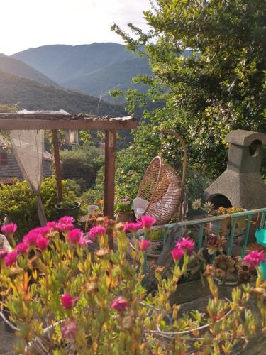 Loreto-di-Tallano Apartment | Casa Di mamou