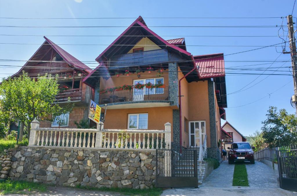 Oestii Paminteni House | Casa Diana-Maria