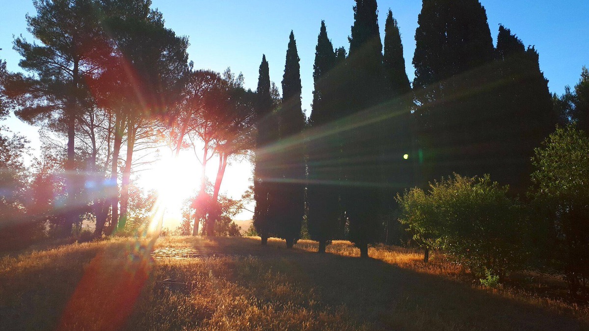 Lorenzana Bed & Breakfast | Casa Divina B&B - PISA - TUSCANY - YOGA NATURE Plant based - DEVOTION ROOM