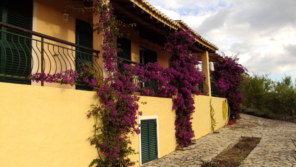 Loule House | Casa do Castelao