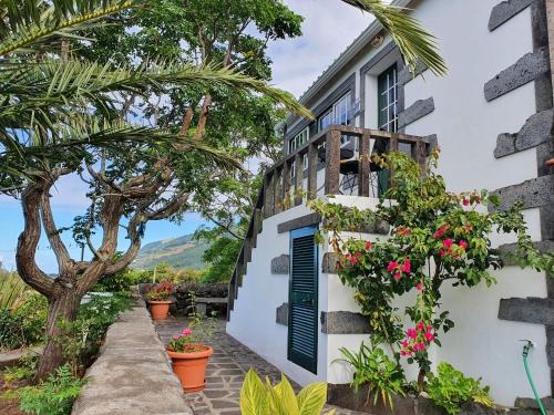 Santo Amaro House | Casa do Gato Preto