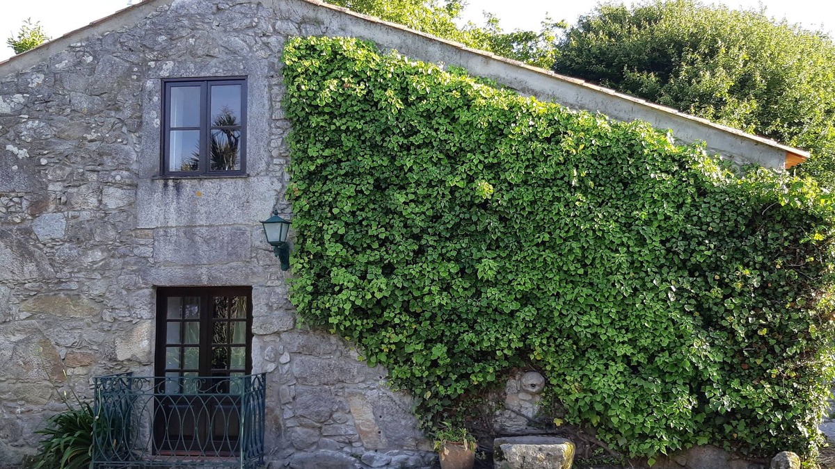 Viana do Castelo House | Casa Do General (afife) - Kleines Haus