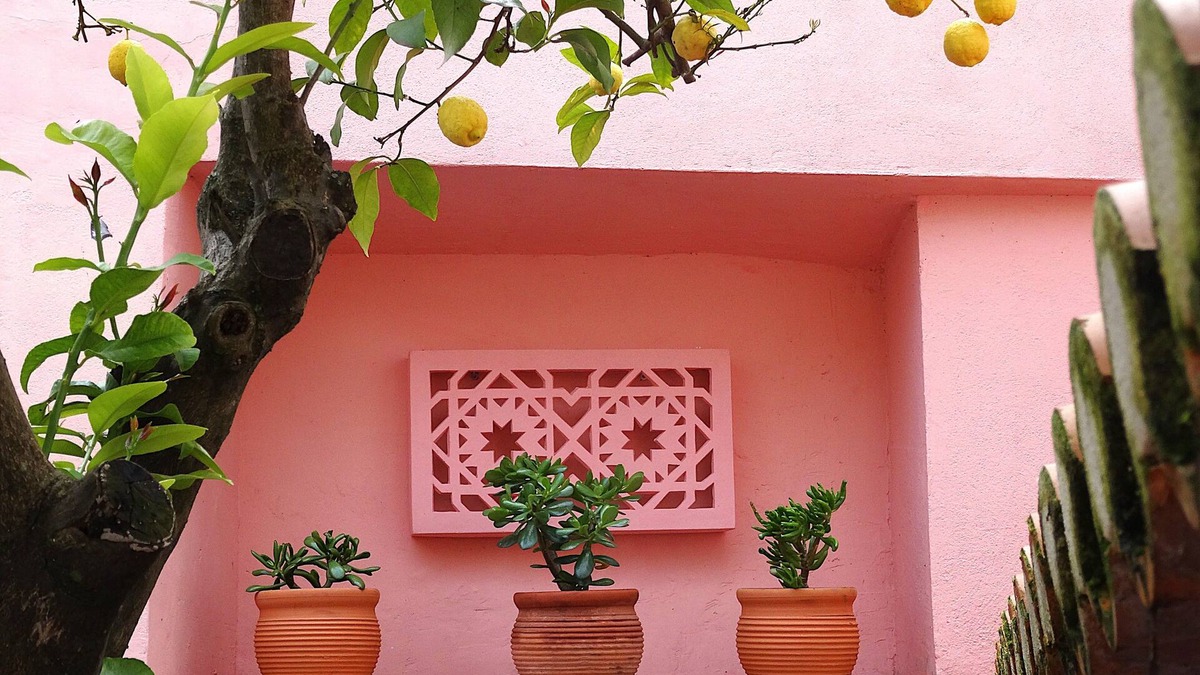 Serpa House | Casa do Limoeiro at Serpa's Historical Center