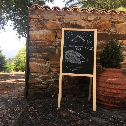 Figueiro dos Vinhos House | Casa do Ouriço