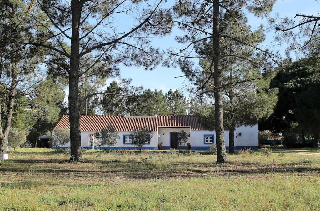 Alcacer do Sal House | Casa do Pinheiro
