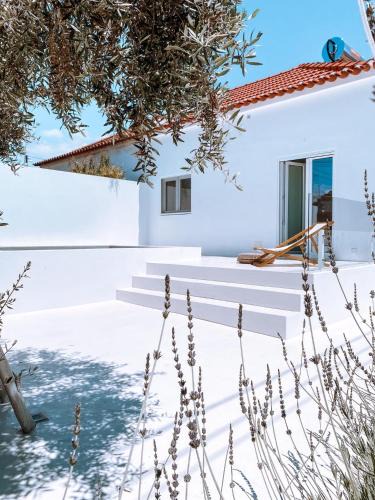 Alcacer do Sal House | Casa do Povo (casa com piscina no centro de Alcácer)