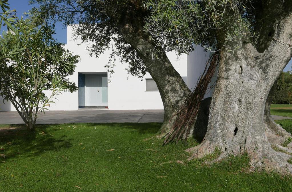 Alvito House | Casa do Vale da Terra Negra