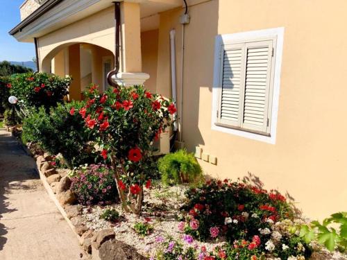Olbia Apartment | Casa Dolce Hibiscus