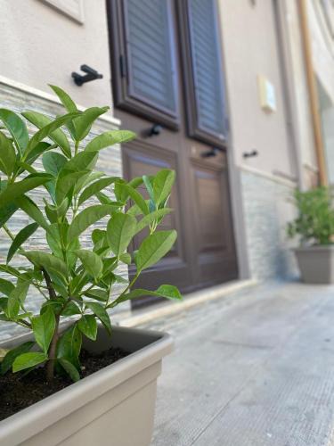 Cinisi Apartment | Casa Domy