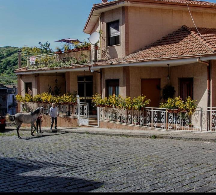 Randazzo House | Casa Don Vicenzo
