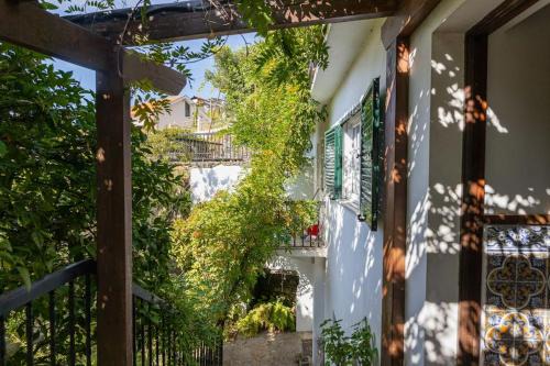Peso da Regua House | Casa Dona Aninhas - Douro