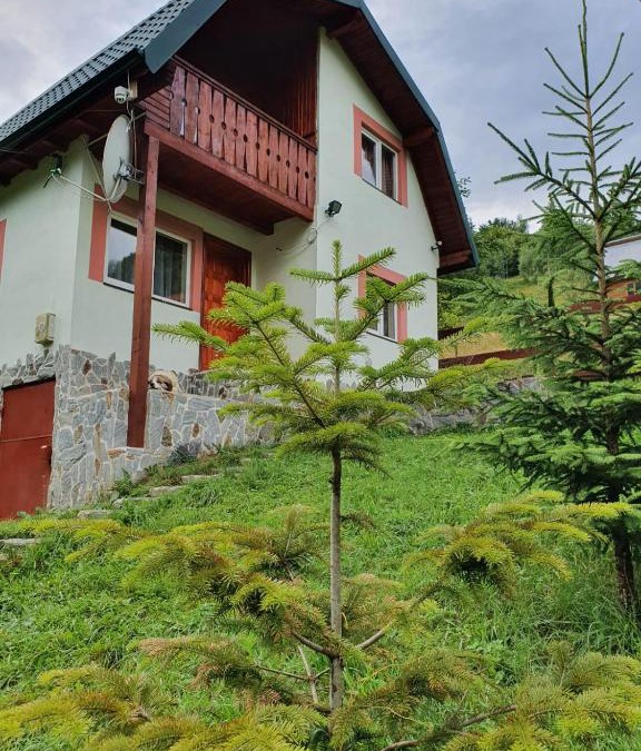Rucar Cabin | Casa Dor de Ea