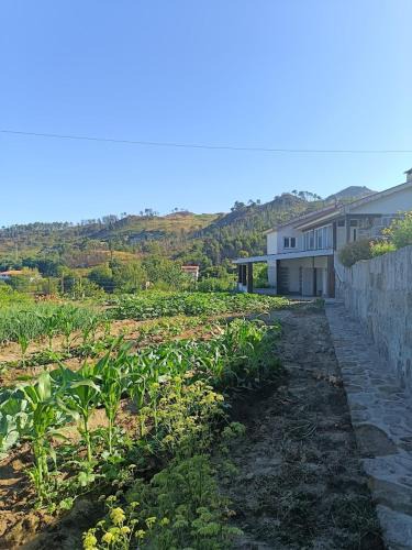 Sao Miguel do Rio Torto House | Casa dos Valentes