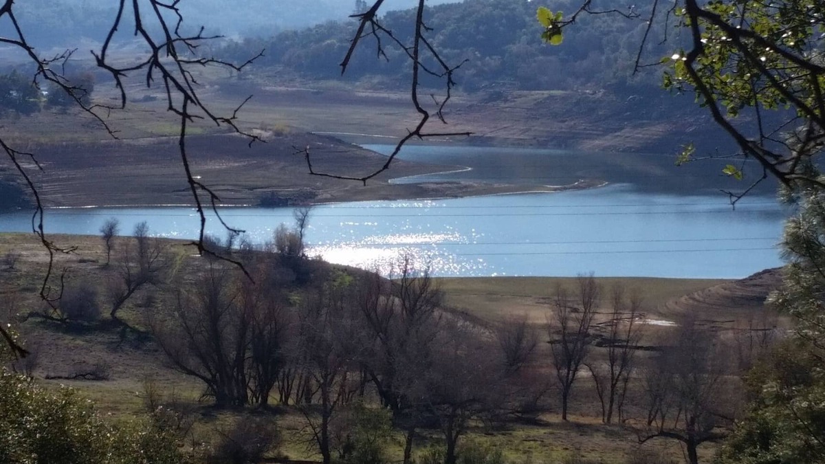 Loomis Cottage | Casa Dragonfly California ~ Casita with a View off Horseshoe Bar Rd