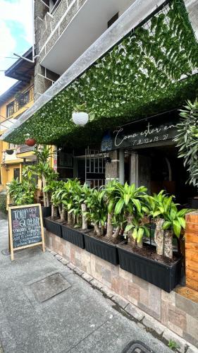 Laureles House | Casa Egos Pop Laureles