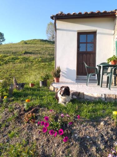 Llerandi House | Casa El Collau I