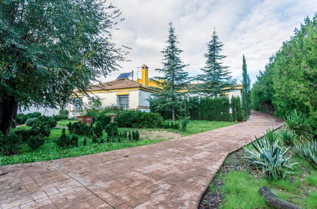 Palomares del Rio House | Casa Elizabeth