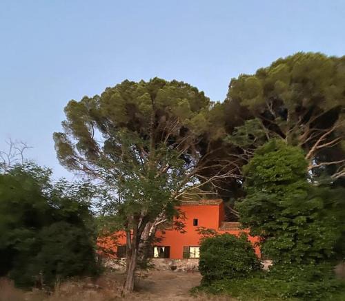 Cenicientos House | Casa en campo para desconectar en Madrid con Animales