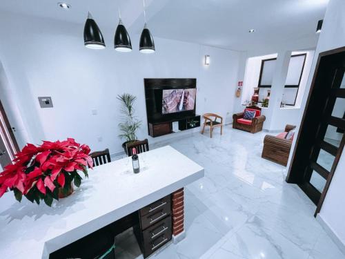 San Cristobal de las Casas Apartment | Casa Franlus apartamento 1 planta baja