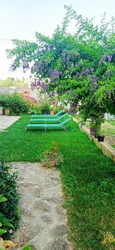 Olbia Apartment | Casa Fiore Olbia