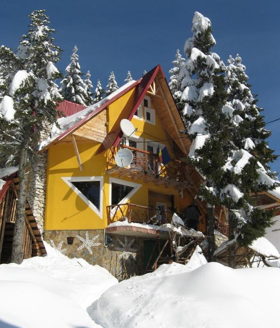 Vartop Ski Chalet | Casa Floare de Colt