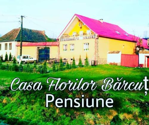 Soars House | Casa Florilor Barcut