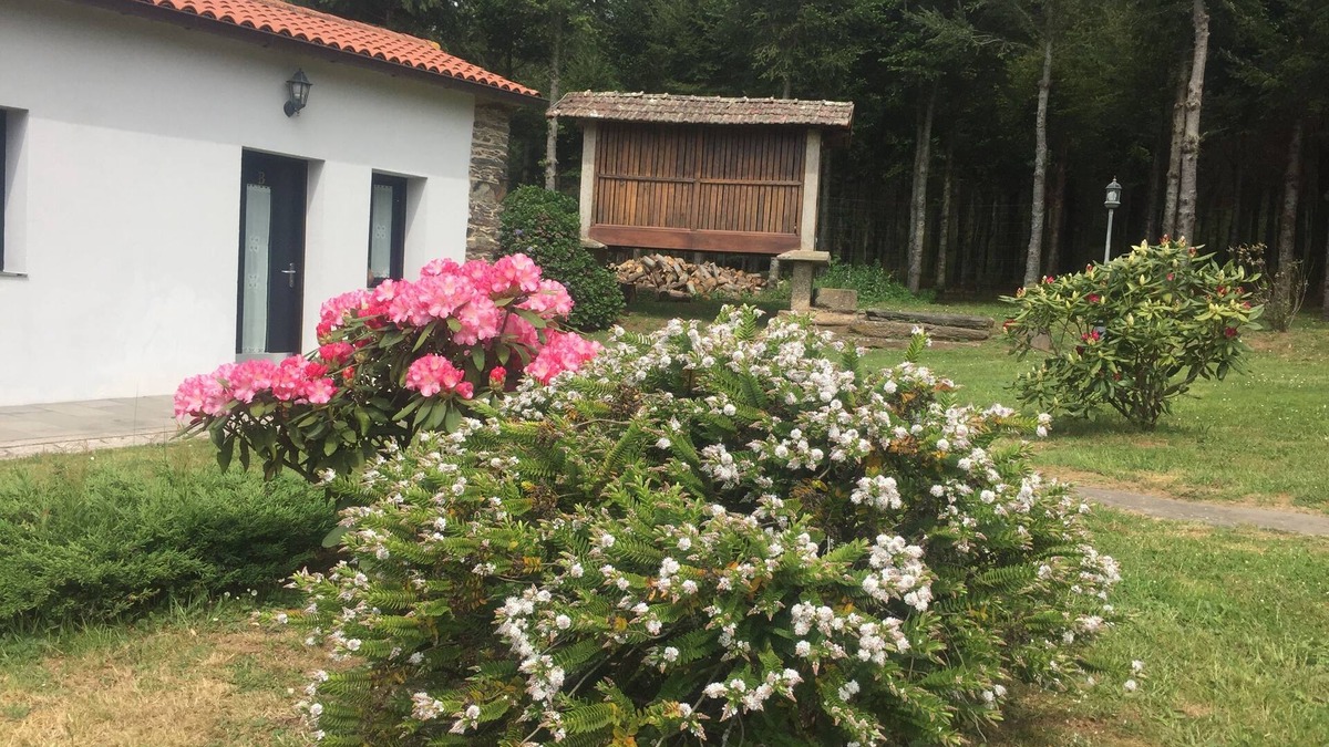 Arzua House | Casa Garea