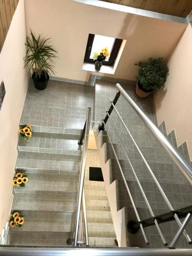 Poiana Tapului Apartment | Casa GDG
