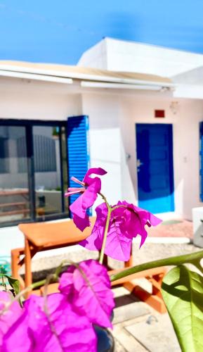 Bahia Kino Apartment | Casa Georgia at Kino Bay - Moderna y acogedora.