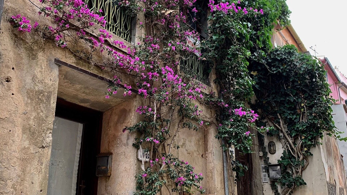 Capoliveri Apartment | CASA Heidi Via Roma