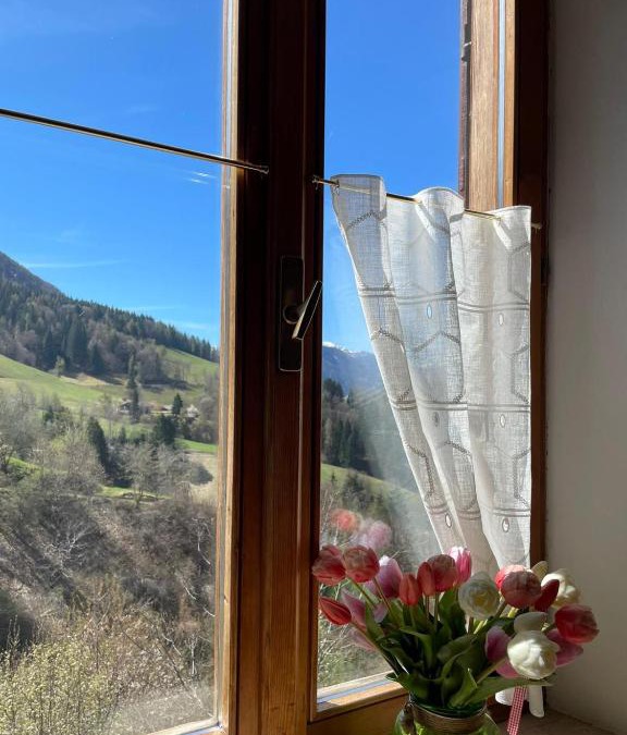 Revo House | CASA IDA - ClPAT 22253