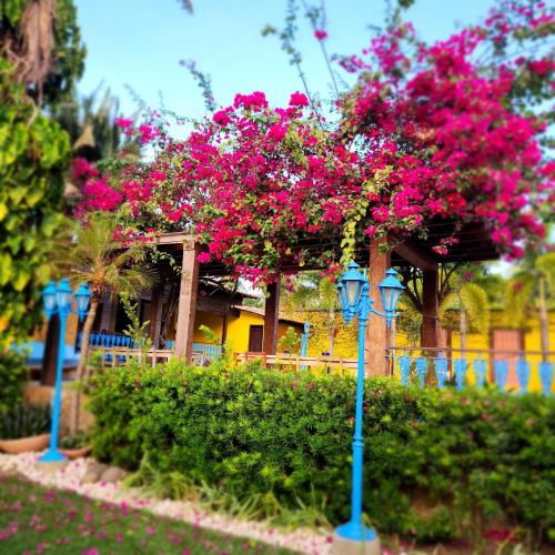 Olho D'agua Hotel | CASA IMPERIAL HOTEL POUSADA